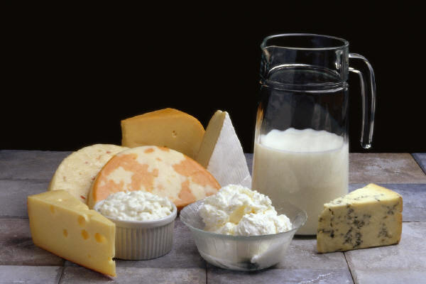 dairy-products-milk-cheese